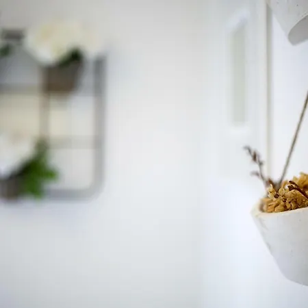 Casa Do Zezeras 아파트