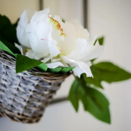 Casa Do Zezeras 아파트 나자레