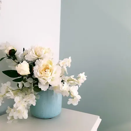 Casa Do Zezeras 아파트