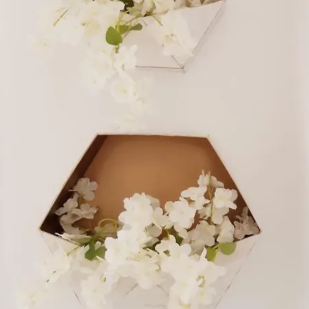 Casa Do Zezeras 나자레