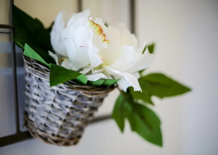 Casa Do Zezeras アパート ナザレ