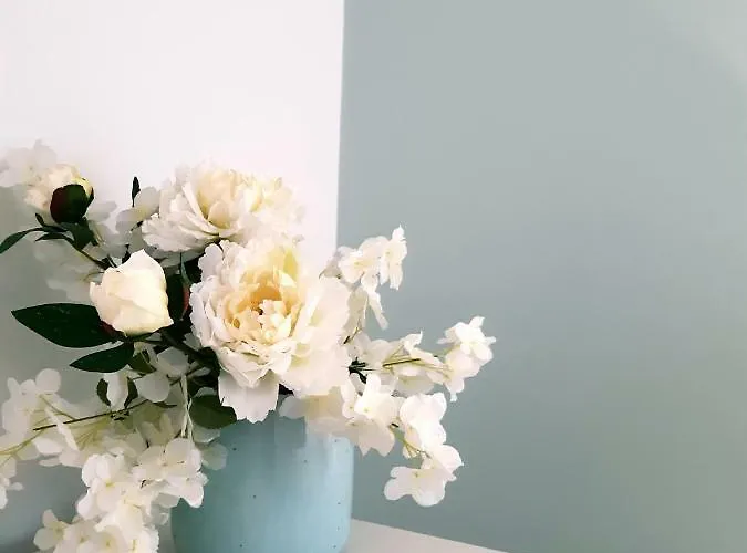 Casa Do Zezeras アパート